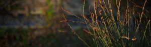 Christian-Ethics-Emphasis-Fuller-Theological-Seminary
