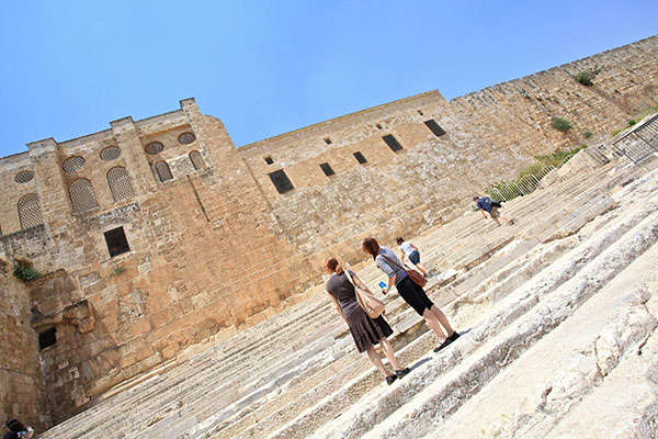 Immersion-Course-Israel israel