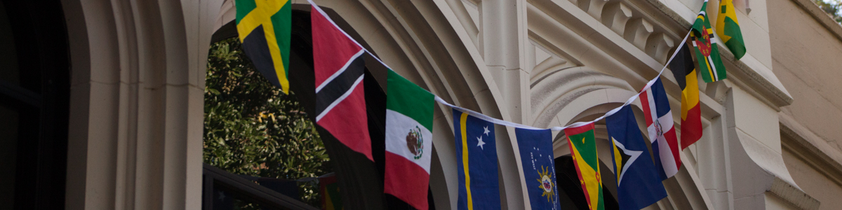 flags on campus banner