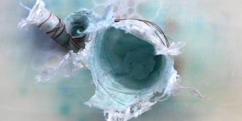 00839-BrehmCenterConference-800x400 00839-BrehmCenterConference-800x400