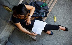 Female Studying on bench