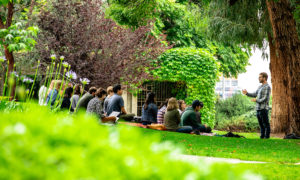 students on the lawn