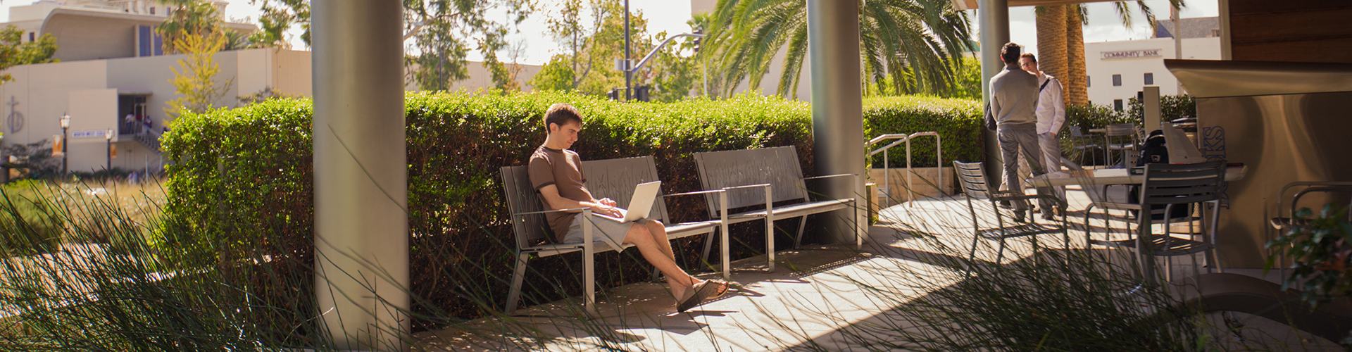 student studying outside