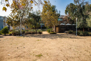 Prayer Desert Garden