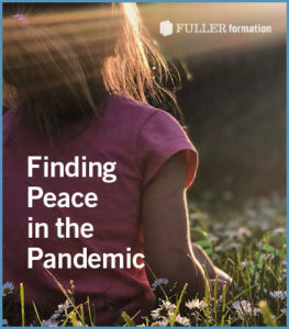 peace in the pandemic