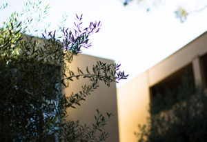 seminary campus