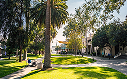 MJA_campus campus