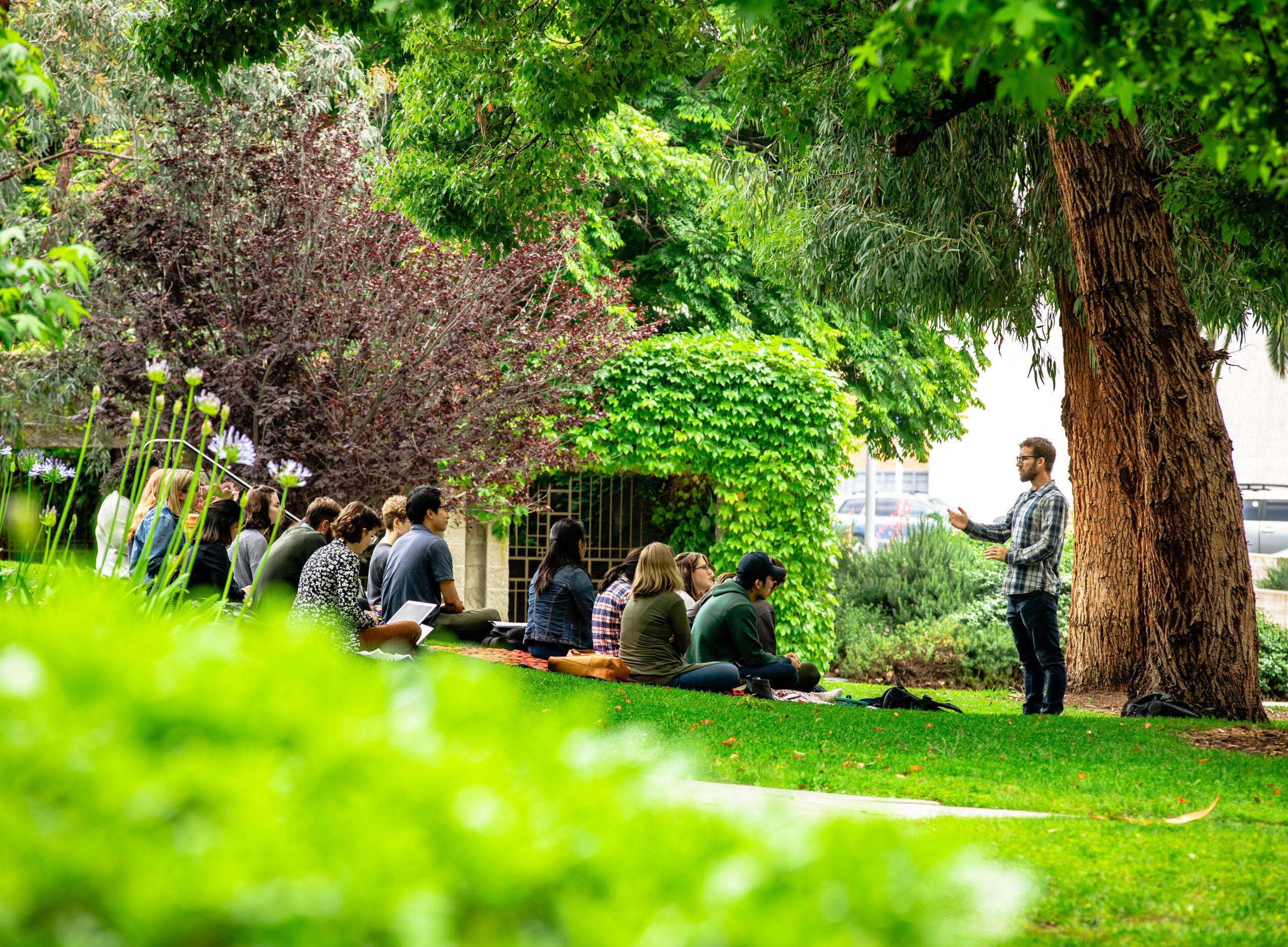 Faculty Support campus - faculty
