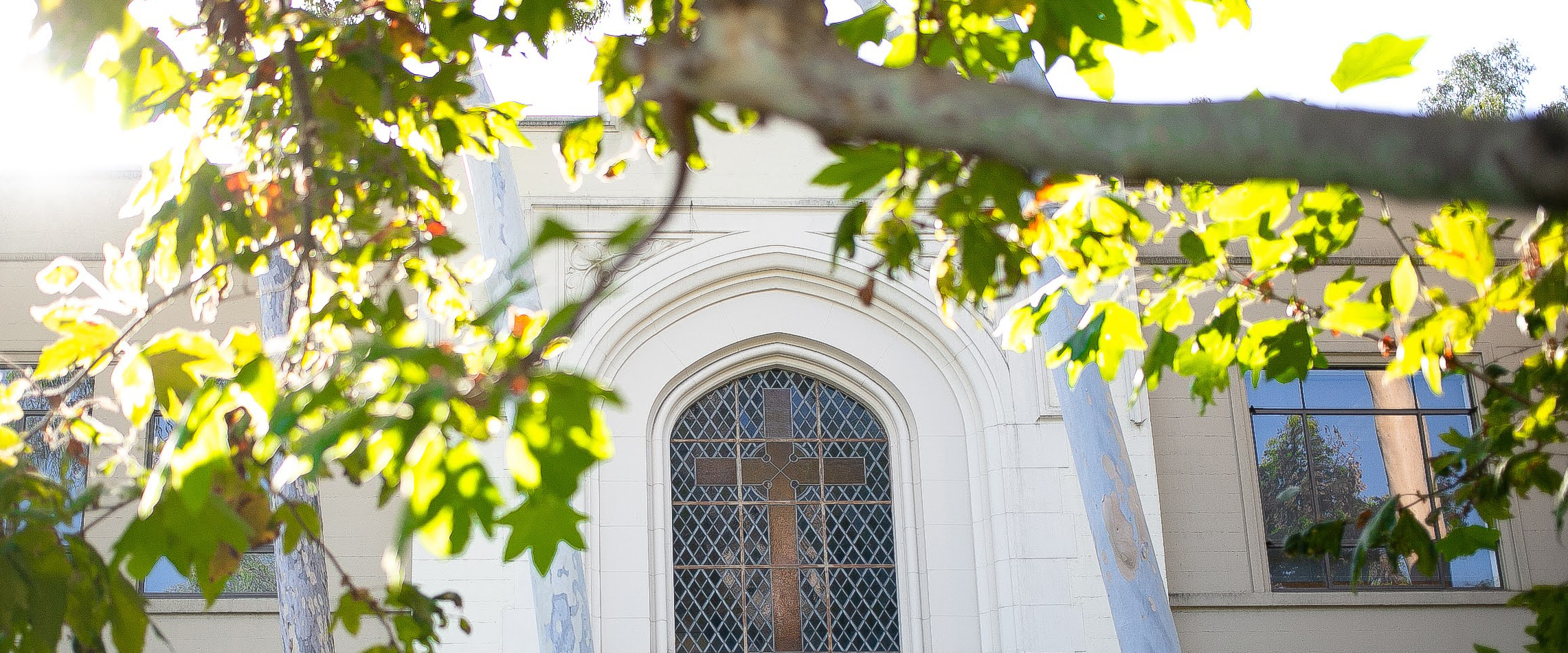 McAlister LIbrary