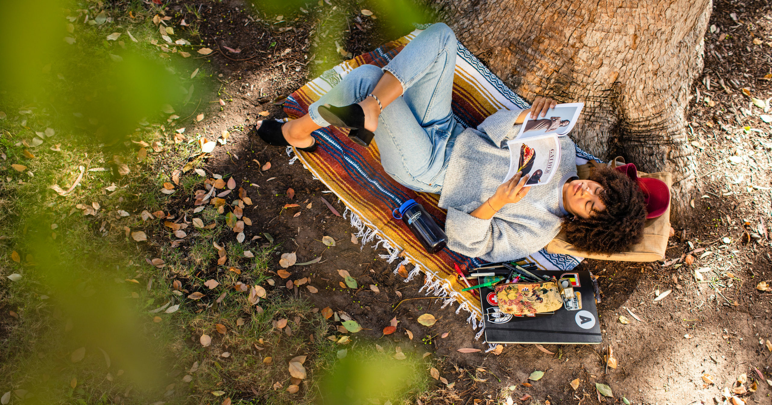 Reading Under a Tree