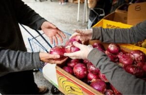 Food Drive