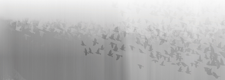 760X270 KSC Symposium 2023 web banner