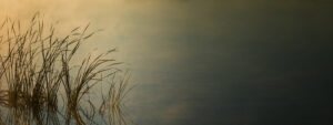 calm waters