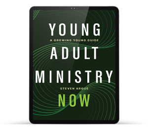 Young Adult Ministry Now book