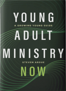 Young Adult Ministry Now book