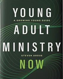 Young Adult Ministry Now book