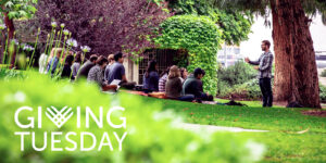 Giving Tuesday banner